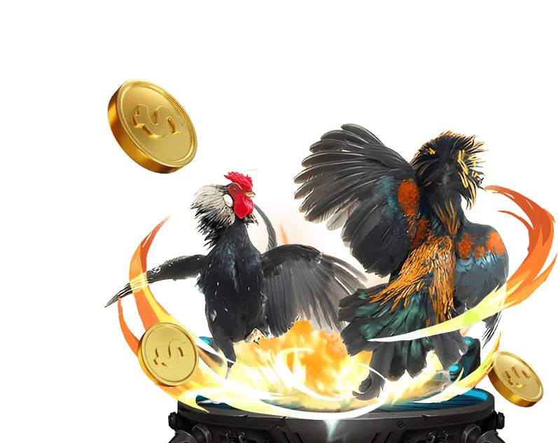 Tính năng ứng dụng 123zo